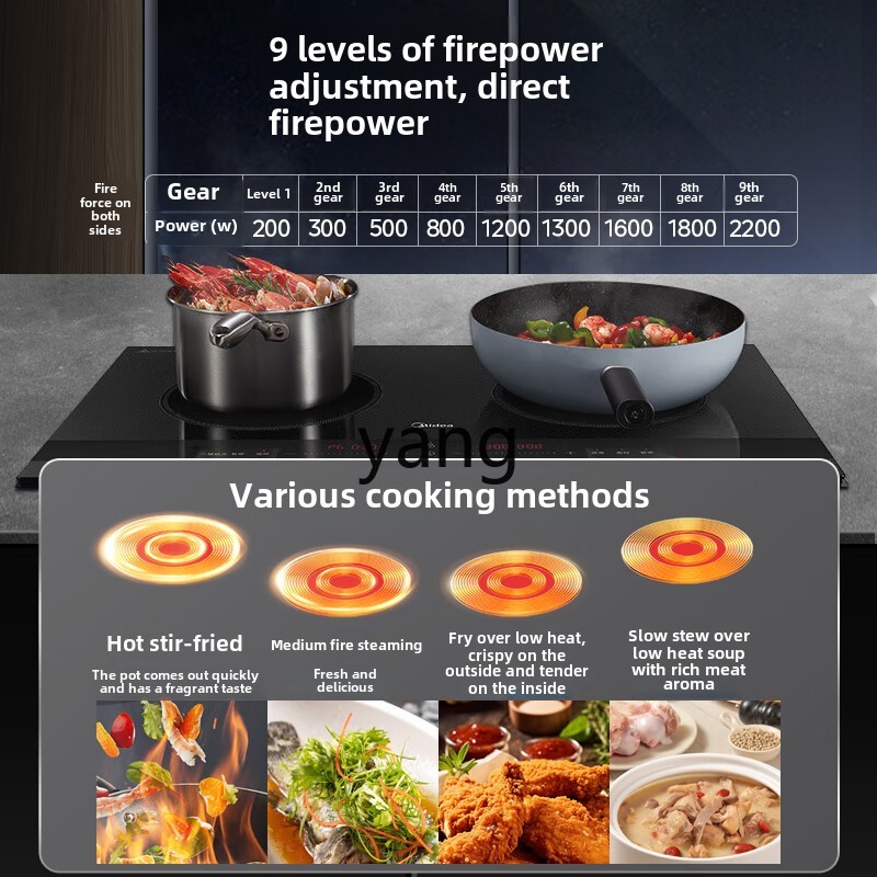 CX 인덕션 쿠커 더블 스토브 내장형 가정용 데스크탑  - Induction Cooker 리뷰 및 가격